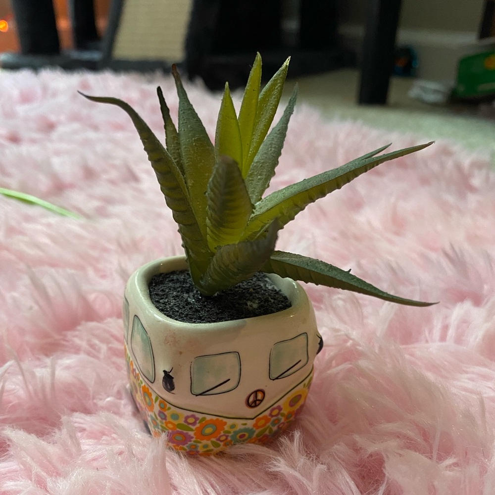 Small Fake Succulent